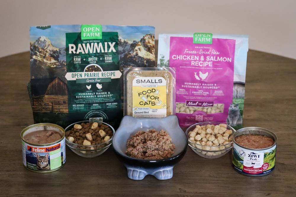 10 Best Cat Foods 2025 Approach Taste Test