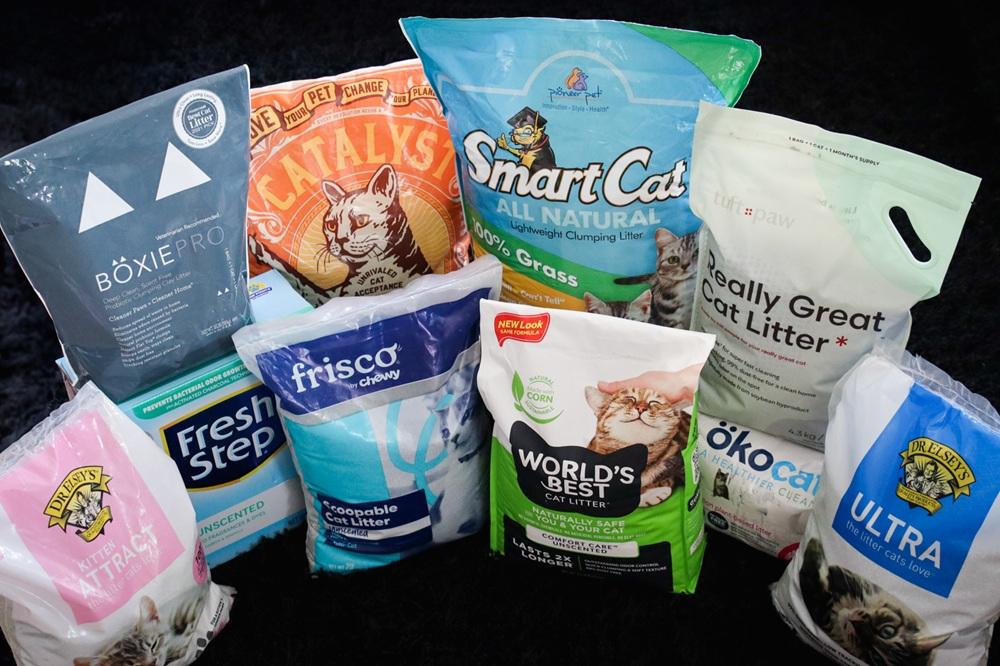 10 Best Clumping Cat Litters