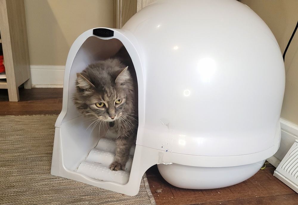 Booda Dome Cleanstep Litter Box