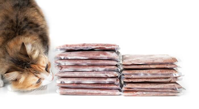 6 Best Human-Grade Cat Foods