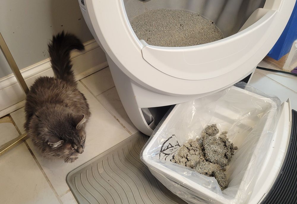 Litter-Robot 4 by Whisker