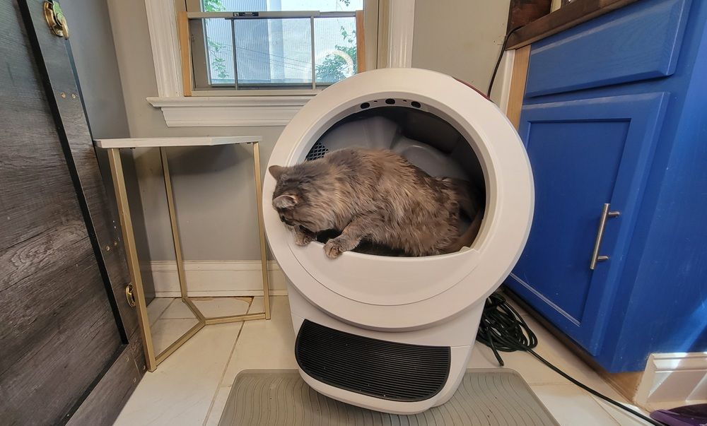 Litter-Robot 4 by Whisker