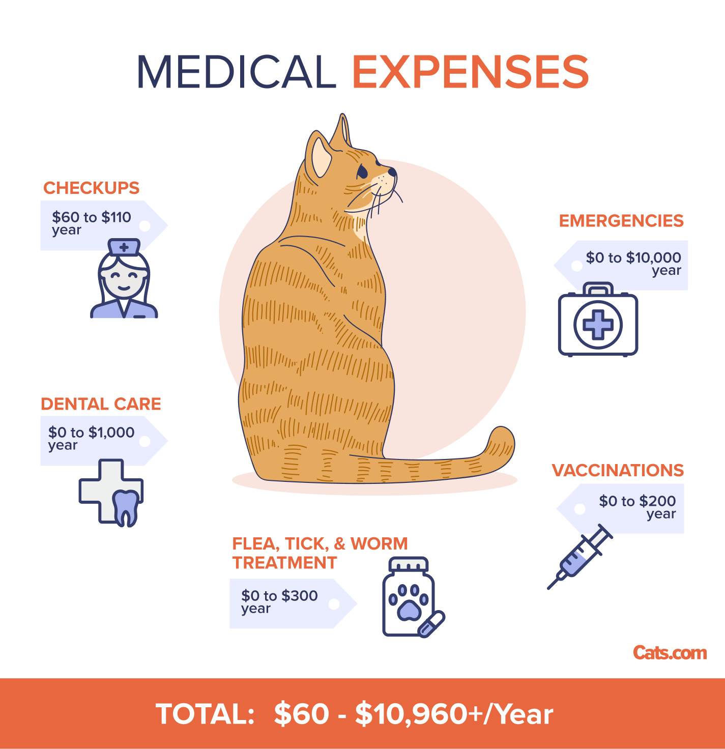 Medical Annual Expense Breakdown