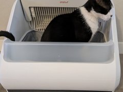 Popur X5 Self-Cleaning Cat Litter Box