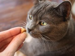 Purina DentaLife Tasty Chicken Flavor Dental Cat Treats
