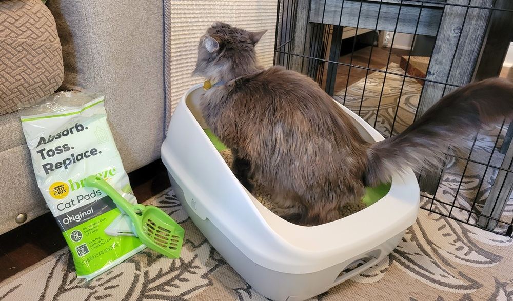 Tidy Cats Breeze Litter Box System