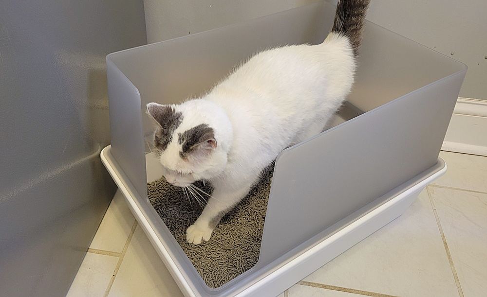 Tuft & Paw Cubby Litter Box